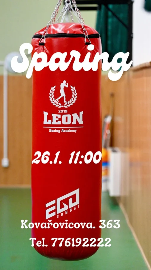 Sparing 26.1.2025